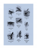  Ульрих Шмид: Птицы. Крылатые чудеса природы