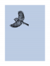  Ульрих Шмид: Птицы. Крылатые чудеса природы