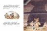 Берни Бос: Кошки-мышки