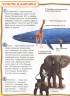 Джинни Джонсон: Млекопитающие. 100 фактов