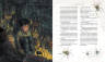 Джоан Роулинг: Гарри Поттер и Философский камень (с цветными иллюстрациями) 