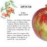 Чуб Наталія, Черепанов О.К.: Про рослини