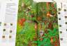 Рене Меттле: Большая книга о лесах и деревьях