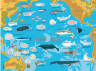 Атлас океанів з багаторазовими наліпками