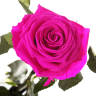 Долгосвежая роза FLORICH МАЛИНОВЫЙ РОДОЛИТ