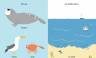 Катрин Виле: Моё маленькое море