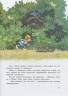 Валько.: Большая книга сказок Волшебного леса