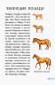 И.В.Горянская: Всё о лошадях