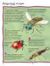 Стів Паркер: 100 фактів про комах та інших безхребетних