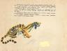 Глупый тигр. Тибетская народная сказка
