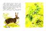 Вера Чаплина: Как заяц в лесу живёт
