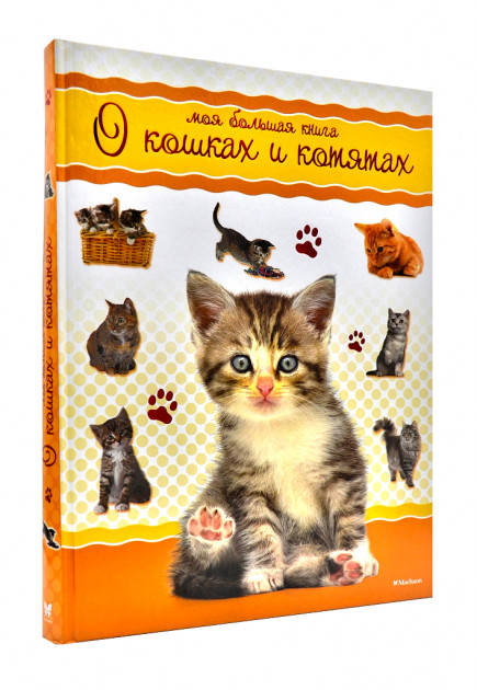  Моя большая книга о кошках и котятах