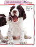  Сміт Паркер: 100 фактів про собак і цуценят