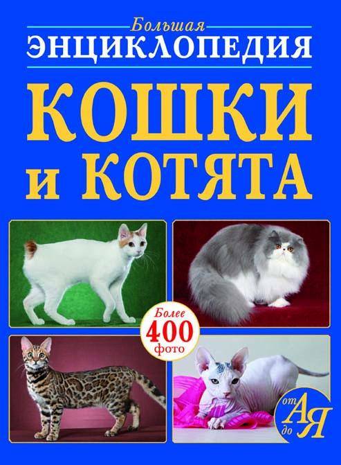 Большая энциклопедия. Кошки и котята от А до Я