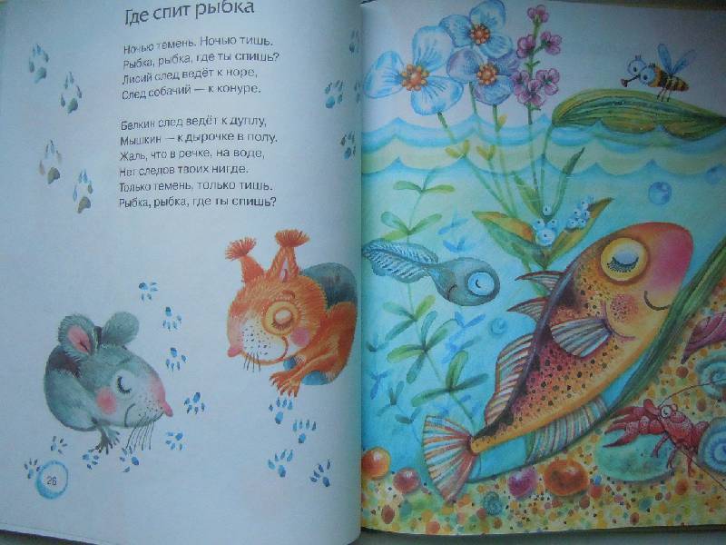 Книга «Где спит рыбка?» Токмакова И.П.
