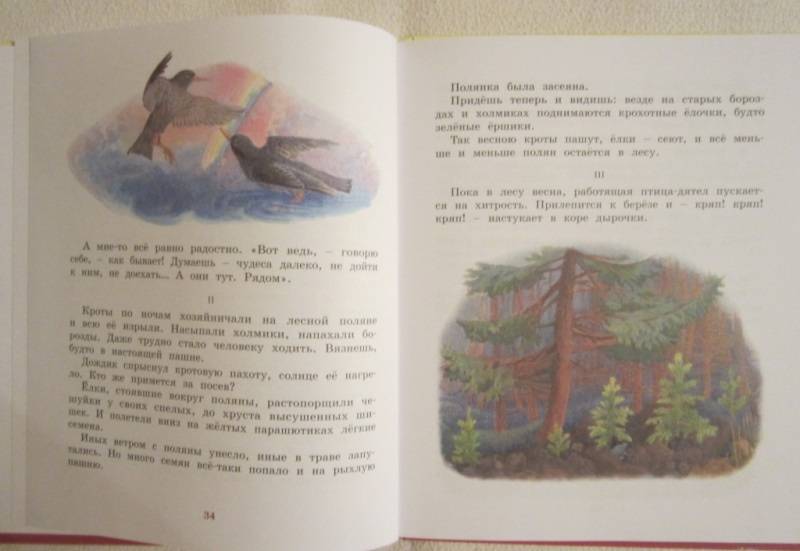 Э шим жук на ниточке презентация