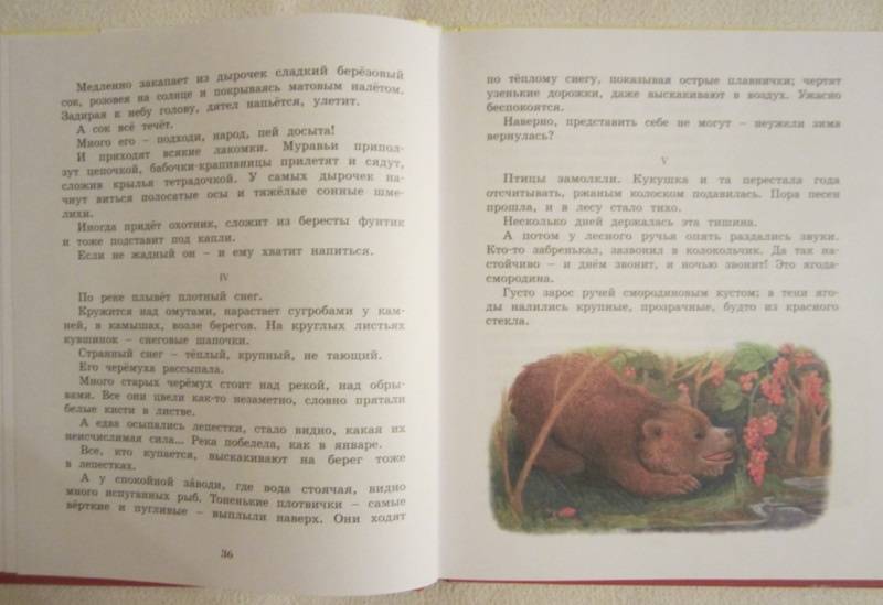 Э шим жук на ниточке презентация
