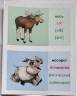 Обучающие карточки "Животный мир" на английском языке