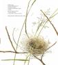 Стефан Каста: Книга злаков и трав