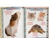Первая энциклопедия животных для малышей. От 8 месяцев до 5 лет