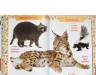Первая энциклопедия животных для малышей. От 8 месяцев до 5 лет