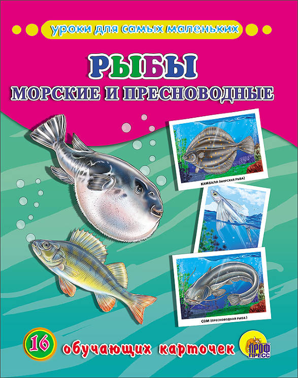 Обучающие карточки "Рыбы морские и пресноводные"