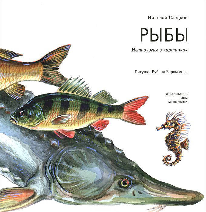Николай Сладков: Рыбы