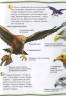 Хищные птицы. 100 фактов