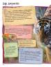  Каміла де ла Бедуаєр: 100 фактів про великих котів