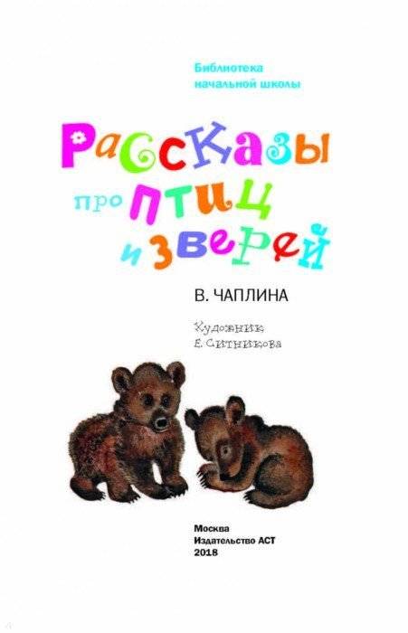 Ауди рассказы про еблю